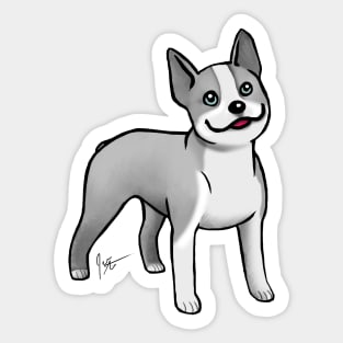 Dog - Boston Terrier - Gray Sticker